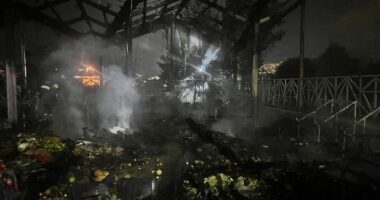 Lushnje/ Përfshihet nga flakët tregu i fruta-perimeve, dyshimet e para