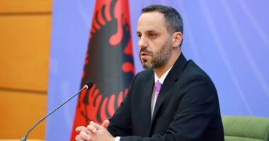 “Masa kundër kultivimit të kanabisit”/ Lamallari: Bashkëpunim me Guardia di Finanza, një avion do përcjellë koordinatat