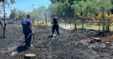 Vatër zjarri në Pllanë të Lezhës, zjarrfikësit në vendngjarje
