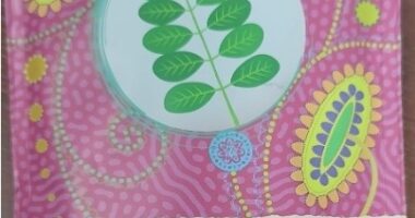 AKU: Suplementi “Moringa Organic” me salmonelë, rrezik serioz për shëndetin