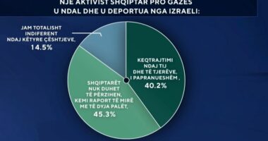Baki Goxhaj u deportua nga Izraeli/ Sondazhi i ABC News, ja çfarë mendojnë shqiptarët për këtë çështje
