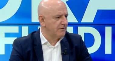 “PD po shkon drejt së shkuarës”/ Bejko: Berisha, jo legjitim në krye të Partisë Demokratike
