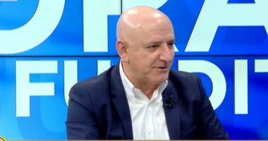Berisha, zyrtarisht pa garë/ Bejko: I paligjshëm në krye të PD, neni “Basha” e ka rrëzuar! Salianji e mund në një pjesë të mirë të territorit