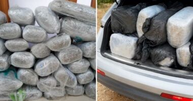 Drogë në makinë, pranga shqiptarit/ Janinë, sekuestrohen 167 kg kanabis, nuk iu bind urdhrit për ndalim…