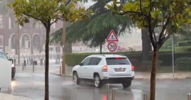 Mot i keq në Durrës! Pemë të rrëzuara nga era e fortë dhe probleme në lëvizjen e automjeteve 