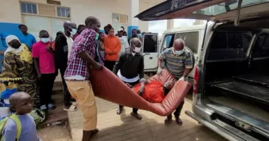 Ebola, shtohen viktimat/ Mbi 130 të vdekur në Kongo, OBSH e ka shpallur emergjencë globale