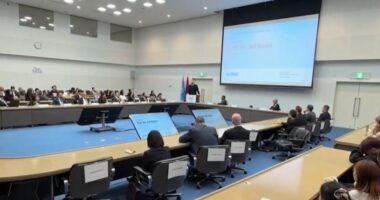 “Shqipëria më afër se kurrë me BE”/ Rama në Tokyo: Integrimi për ne është diçka ekzistenciale