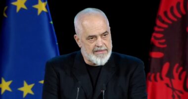 Rama i përgjigjet skeptikëve: Me “Diellën” në prokurimet publike do të arrijmë në nivelin më të lartë europian
