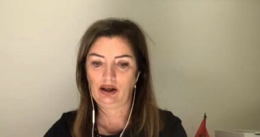 7 qershori, partitë dorëzojnë listat/ Maliqi: Lëvizja Vetëvendosje nuk ka risi, fushata mes Kurtit dhe Osmanit