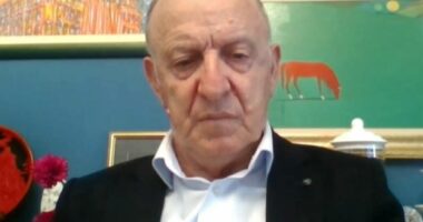 “Berisha ka shkelur statutin e PD”/ Analisti Leka: Nuk ka zgjedhje me një kandidat
