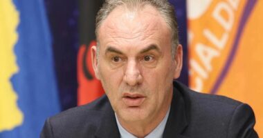 Limaj, fushatë për PDK/ Jashtë listave, por arrin “marrëveshje simbolike” me Hamzën