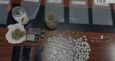 VIDEO/ Shpërndanin kokainë e kanabis, dy të arrestuar në Fier