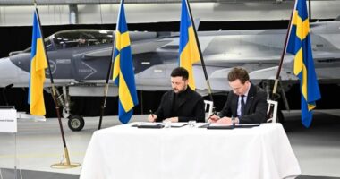Suedia i dorëzon Ukrainës 16 aeroplanë luftarakë Gripen