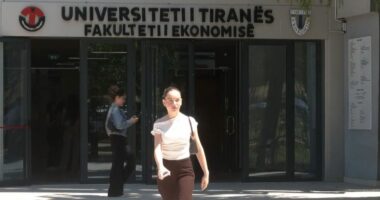 Biznesi, zgjedhja e parë e studentëve/ INSTAT: Një në katër të diplomuar përfundon studimet në biznes