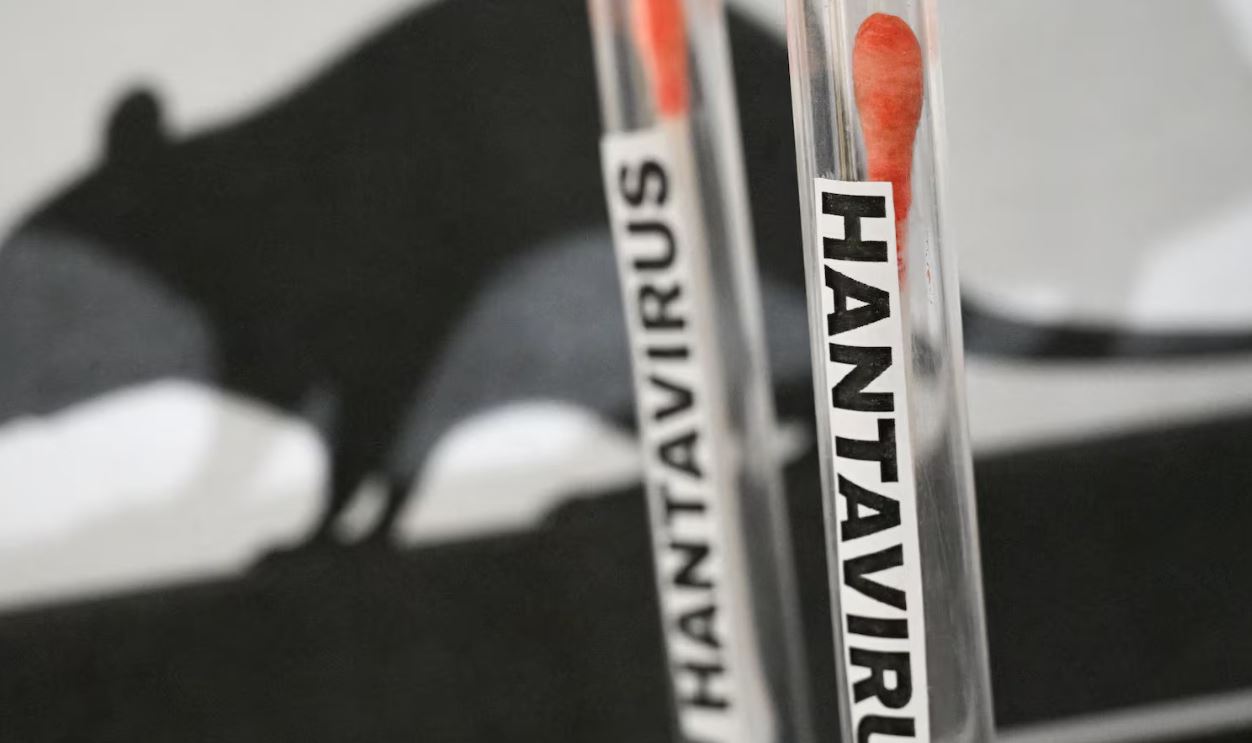 Hantavirusi  imunologu Weissman  Nuk do të ketë pandemi të re  nuk  vrapon  si COVID i
