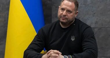 Ish-shefi i stafit të Zelensky i dyshuar në një hetim të madh për korrupsion