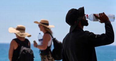 I nxehti godet Francën, raportohet për shtatë viktima