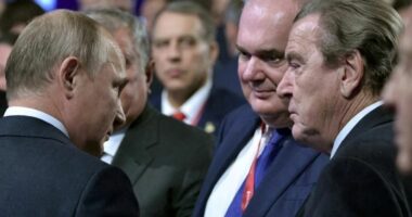 Vladimir Putin propozon ish-kancelarin gjerman Schroeder si ndërmjetës për luftën në Ukrainë