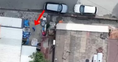 Shisnin drogë në zona të qytetit dhe afër shkollave/ Laç, 7 të arrestuar. Zbulohet edhe një lokal për lojëra fati