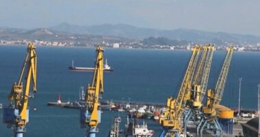 Shtohet tregtia Shqipëri Kore e Jugut/ Instat: Blejmë makina e paisje dhe shesim ushqim e produkte kimike