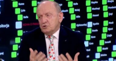 Europa sjell paqe në Kuvend/ Leka: Integrimi, proces kompleks. Parlamentarizmi partiak është pasqyrë e popullit