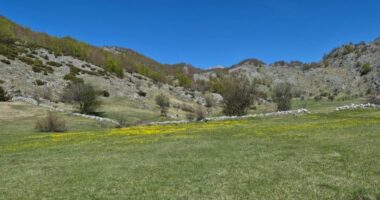 Parashikimi i motit, 30 Maj 2026