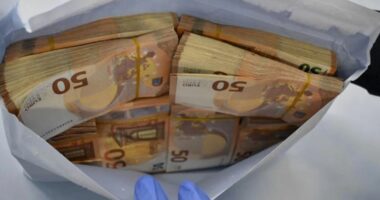 Zvicër, zbulohen 356 mijë euro të fshehura në tren/ Një person nën hetim për pastrim parash
