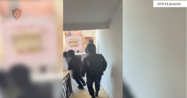 Operacioni antidrogë/ Policia e Elbasanit me njoftim zyrtar: Sekuestrohen 9 kilogramë kanabis, 7 automjete…