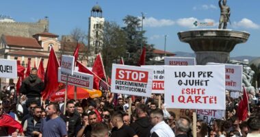 “Gjuha shqipe është amaneti ynë”/ Studentët shqiptarë protestë sot në Shkup