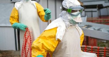 Sa shqetësuese është shpërthimi i Ebolës në Kongo?