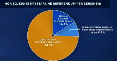 ‘Referendumi i Berishës’/ Sondazhi: Shqiptarët, zero interes për PD