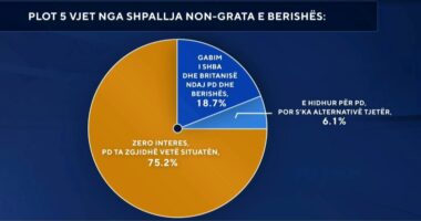 Përvjetori i 5-të i non gratës/ Sondazhi: 75 për qind e shqiptarëve nuk iu intereson sanksionimi i Berishës