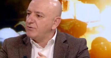 “PD, e katandisur me mercenarë të huaj”/ Bejko: Berisha është lider tipik autokrat