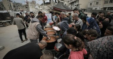 OKB: Thellim i urisë në Gaza, familjet mbijetojnë me një vakt në ditë