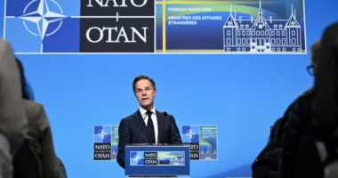 Shefi i NATO: Turqia “shembull i shkëlqyer” i organizimit në industrinë e mbrojtjes