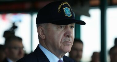 Erdogan: Turqia do të vazhdojë të mbrojë paqen dhe njerëzimin kundër “rrjeteve të gjenocidit”