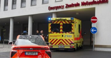 Dy të vdekur nga rrëzimi i një avioni të vogël në Gjermani