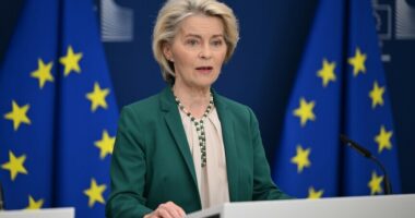 Shefja e Komisionit Evropian: Javët e ardhshme “të rëndësishme” për procesin e anëtarësimit të Ukrainës në BE