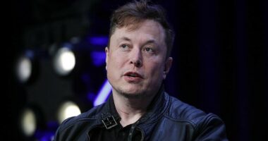 Starlink i Elon Musk mbërrin në Ugandë