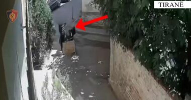 Vidhte motomjete, i çmontonte pjesët dhe i shiste! Arrestohet 33-vjeçari në Tiranë