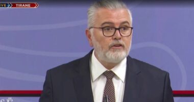 “Procesi po lëviz dhe ka mbështetjen tonë”/ Gogu: Integrimi në BE nuk arrihet pa garantuar të drejtat e qytetarëve