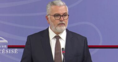 Amnistia Penale/ Ministri Gogu: Do të ndodhë me patjetër. Në vijim nisin diskutimet në parlament