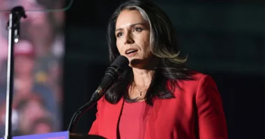 Tulsi Gabbard, jep dorëheqjen si drejtore e Inteligjencës Kombëtare në administratën Trump