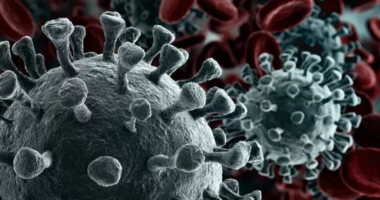 Dy raste të reja me Ebola në Ugandë, numri i të prekurve shkon në shtatë