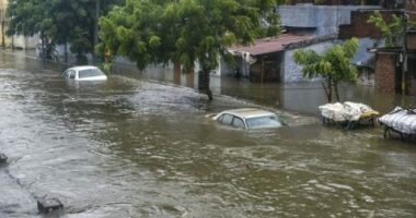 Indi, 90 viktima dhe dhjetëra të plagosur nga stuhitë