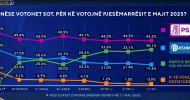 Protestat “zhytin” Berishën/ Sondazhi i ABC News, 80% e shqiptarëve nuk duan të dëgjojnë më për “daljet në shesh” të PD