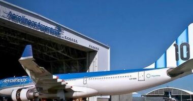 Argjentina nderon “alienin” Messi/ Kampionët e botës në Botëror me avion kushtuar superyllit