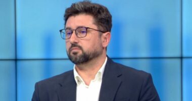 Nis prodhimi vendas i anijeve luftarake/ Marrëveshja me Italinë, Qirjazi: Shqipëria, kontribuese për sigurinë