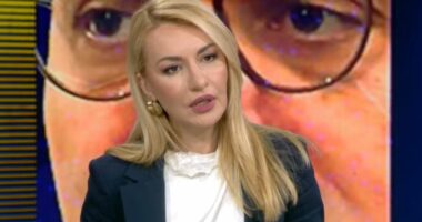 “Brenda majit, diskutime e dritë jeshile”/ Integrimi, Kuko: Avancim të mëtejshëm për raportin e IBAR