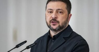 Zelensky: Aleatët e shohin Ukrainën më të fortë pas goditjeve ndaj objektivave ruse